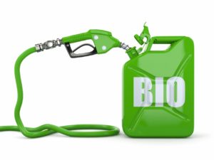 Leia mais sobre o artigo Biocombustíveis e o Brasil