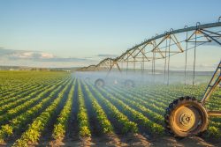 Leia mais sobre o artigo Gestão da água na agricultura