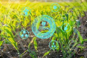 Leia mais sobre o artigo Biotecnologia: ferramenta para reduzir o impacto ambiental na agricultura