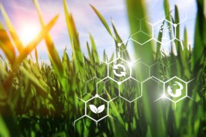 Leia mais sobre o artigo Bioenergia: iniciativa estimula maior produção de biocombustíveis