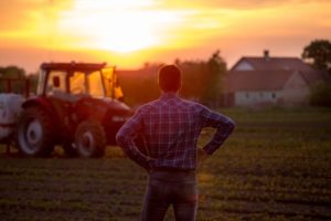 Leia mais sobre o artigo Solução de problemas na fazenda: entendendo o problema (Parte 2/3)