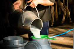 Leia mais sobre o artigo Estratégias competitivas para o produtor de leite