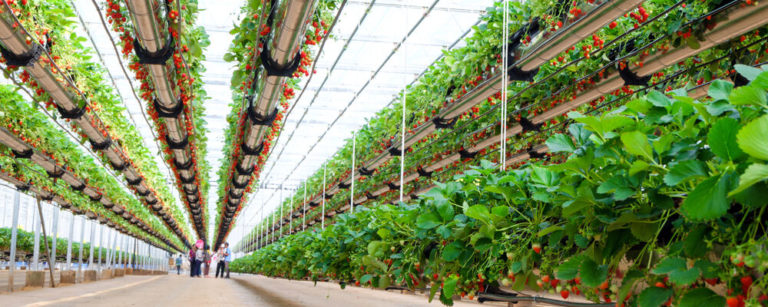 tendencias_agro_tecnologia