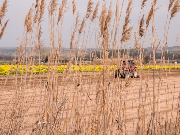 Digital-Agro-Agtech
