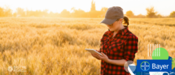 Leia mais sobre o artigo Climate FieldView™: a plataforma de agricultura digital da Bayer