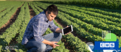 Leia mais sobre o artigo Saiba por que a CWS Digital pode tornar sua empresa mais competitiva no mercado agro