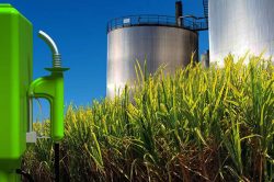 Leia mais sobre o artigo Biocombustíveis: demanda por energia renovável aumenta no mundo