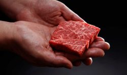 Leia mais sobre o artigo Cientistas japoneses criam carne com impressora 3D
