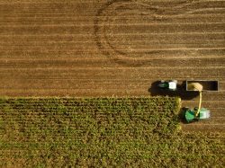 Leia mais sobre o artigo A agricultura digital está transformando os sistemas agroalimentares