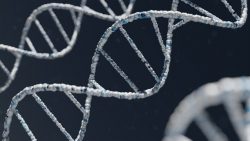 Leia mais sobre o artigo Cientistas desenvolvem tecnologia que armazena dados em DNA