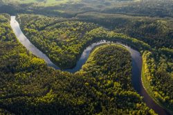 Leia mais sobre o artigo Tecnologia que conecta investidor a pequeno produtor promete salvar a Amazônia