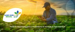 Leia mais sobre o artigo MAPA lança portal de informações sobre o ecossistema de inovação do agro brasileiro