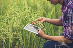 Leia mais sobre o artigo Pesquisa mostra que o marketing digital está transformado os negócios no agro