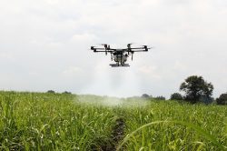 Leia mais sobre o artigo Pulverização por drone: qual valor da tecnologia para o produtor rural?