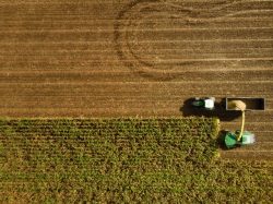 Leia mais sobre o artigo Brasil e Japão firmam acordo para desenvolver  agricultura digital