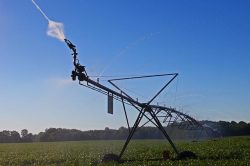 Leia mais sobre o artigo Conheça as novas tecnologias de irrigação e como elas colaboram na lavoura
