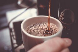 Leia mais sobre o artigo Pesquisadoras criam cultivar de café que é naturalmente descafeinada