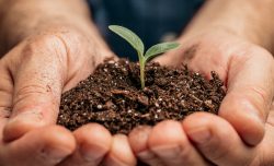 Leia mais sobre o artigo Chegada de fertilizantes da Rússia salva próxima safra, diz ministro da Agricultura