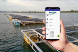 Leia mais sobre o artigo Embrapa e Ufscar criam tecnologia que transmite dados da piscicultura para o celular em tempo real