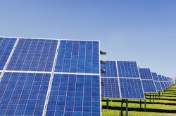Leia mais sobre o artigo Fazenda no Piauí gera energia solar em meio à produção rural