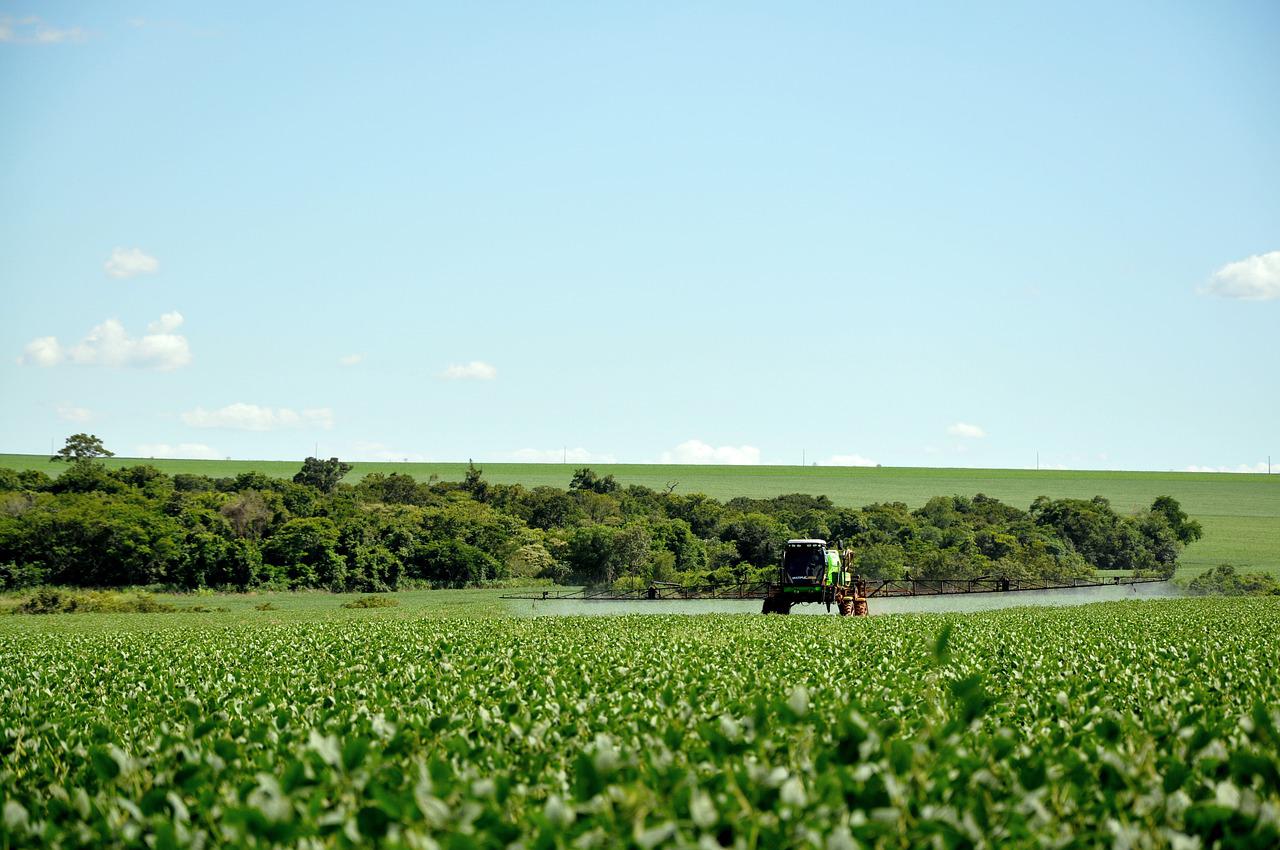 Novo fertilizante fosfatado desenvolvido pela Embrapa aumenta a produtividade da soja