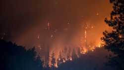 Leia mais sobre o artigo Novo sensor antecipa alertas de incêndios florestais