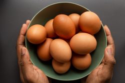 Leia mais sobre o artigo Conheça o “Happinneggs”, o ovo que nasceu sem a galinha
