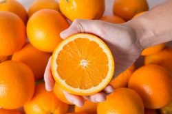Leia mais sobre o artigo Como o limão salvou a laranja do vírus da tristeza?