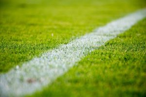 Leia mais sobre o artigo Copa do Catar tem grama brasileira em seus estádios