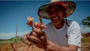 Leia mais sobre o artigo No Cerrado, tem preservação da biodiversidade e combate à insegurança alimentar