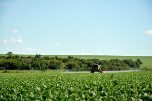 Leia mais sobre o artigo Paraná tem o melhor território para a agricultura no Brasil, classifica IBGE
