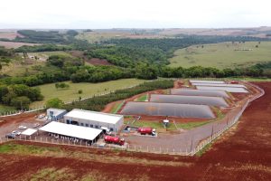 Leia mais sobre o artigo Focado no hidrogênio verde, projeto no Paraná vai transformar dejetos do agro em biogás e biometano