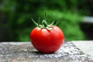 Leia mais sobre o artigo Pesquisadores criam tomate em forma de amendoim