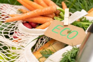 Leia mais sobre o artigo Evento discute alternativas para tornar os sistemas alimentares mais sustentáveis