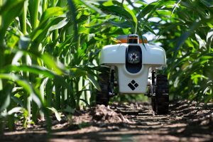 Leia mais sobre o artigo 5 vantagens do uso de IA na agricultura brasileira