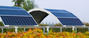 Leia mais sobre o artigo Sistema agrovoltaico integra a produção agrícola com a geração de energia solar