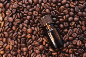 Leia mais sobre o artigo Projeto estuda viabilidade da produção de óleo vegetal de café