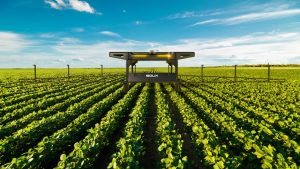 Leia mais sobre o artigo Robô com tecnologia brasileira reduz em até 95% uso de herbicidas durante primeira safra comercial nos EUA 