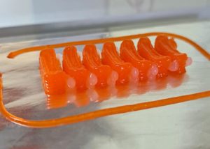 Leia mais sobre o artigo Embrapa produz “filé de pescado” em impressora 3D