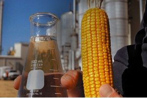 Leia mais sobre o artigo Produção de etanol de milho deve alcançar 6 bilhões de litros na safra 2023/2024
