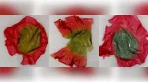 Leia mais sobre o artigo Embalagem inovadora muda de cor quando alimento está estragado
