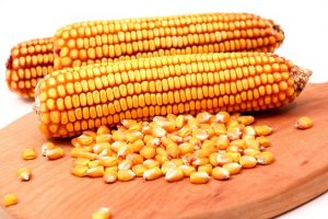 Leia mais sobre o artigo Governo anuncia R$ 105 milhões para equalização de preços do milho