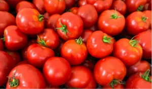 Leia mais sobre o artigo Cultivando o futuro sustentável: a diversidade do tomate na agricultura brasileira